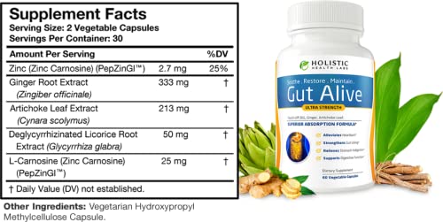 Gut Alive - All Natural Support to Fight IBS, Heartburn, Acid Indigestion, Acid Reflux, Bloating & Gas. Unique Formulation (60 Count (Pack of 2))