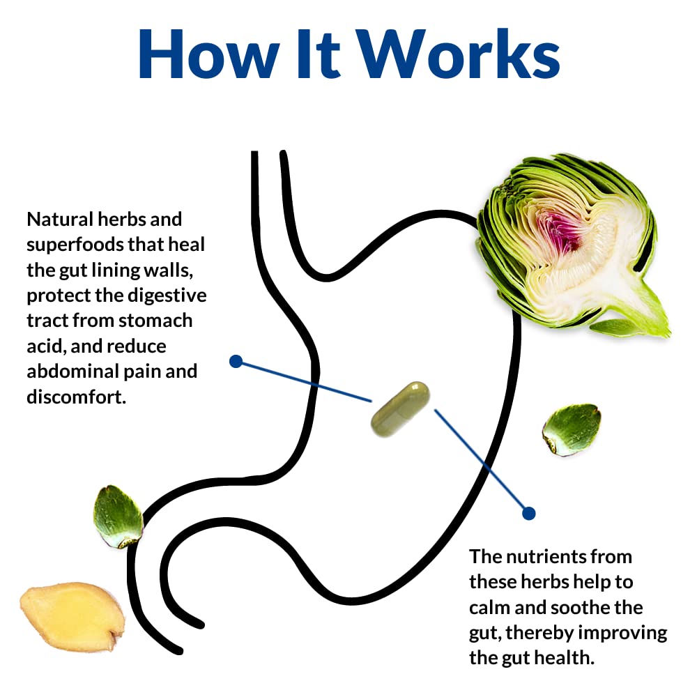 Gut Alive - All Natural Support to Fight IBS, Heartburn, Acid Indigestion, Acid Reflux, Bloating & Gas. Unique Formulation (60 Count (Pack of 2))