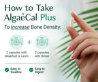 ALGAECAL Organic Red Algae Calcium Supplement for Bone Density, Vitamin K2 MK7 (100mg), Vitamin D3 (1600 IU), Magnesium (350mg) & Trace Minerals & Strength, Easy to Swallow, 120 Veggie Caps