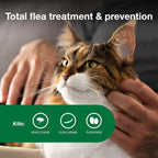 Advantage II Large Cat Flea Treatment & Prevention – Vet Recommended | For Cats Over 9 lbs | 6-Month Supply
