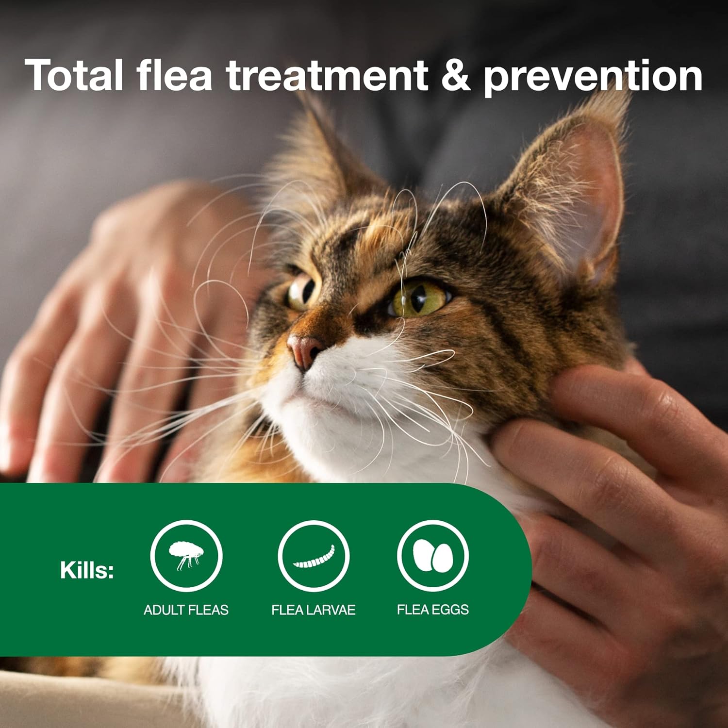 Advantage II Large Cat Flea Treatment & Prevention – Vet Recommended | For Cats Over 9 lbs | 6-Month Supply