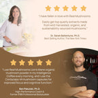 Real Mushrooms Lion’s Mane Supplement Capsules - Organic Lions Mane Extract for Overall Wellbeing - Beta Glucan Supplements – Vegan 300 ct Mushroom Extract