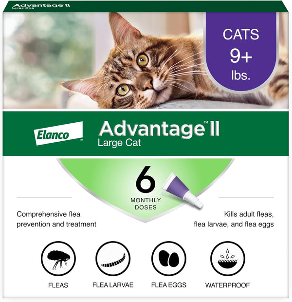 Advantage II Large Cat Flea Treatment & Prevention – Vet Recommended | For Cats Over 9 lbs | 6-Month Supply