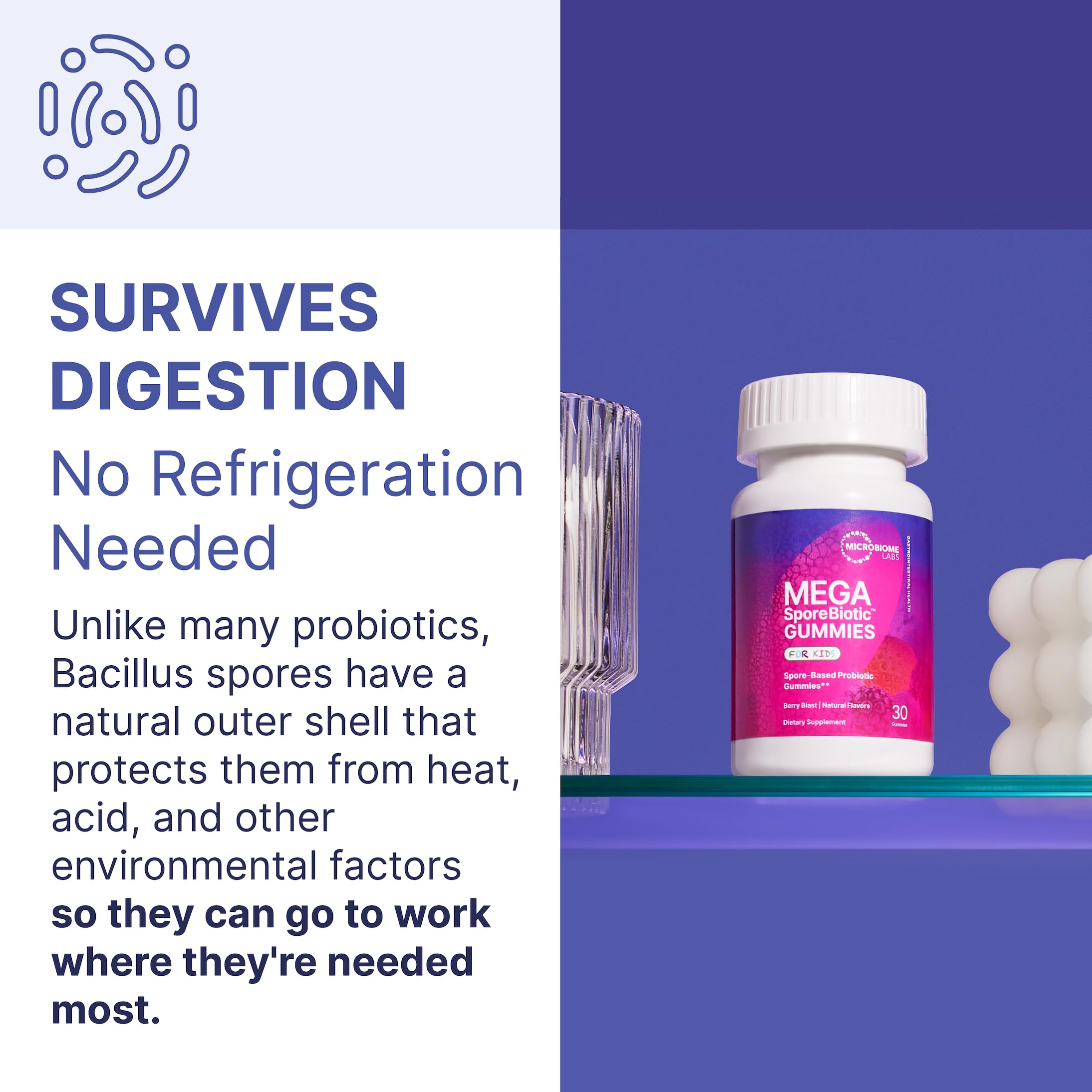 Microbiome Labs MegaSporeBiotic Probiotics for Women & Men - (180 Capsules)